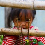rôle des organisations caritatives dans les programmes d'aides aux orphelins