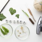 Impact environnemental des arômes naturels