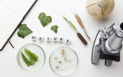 Impact environnemental des arômes naturels