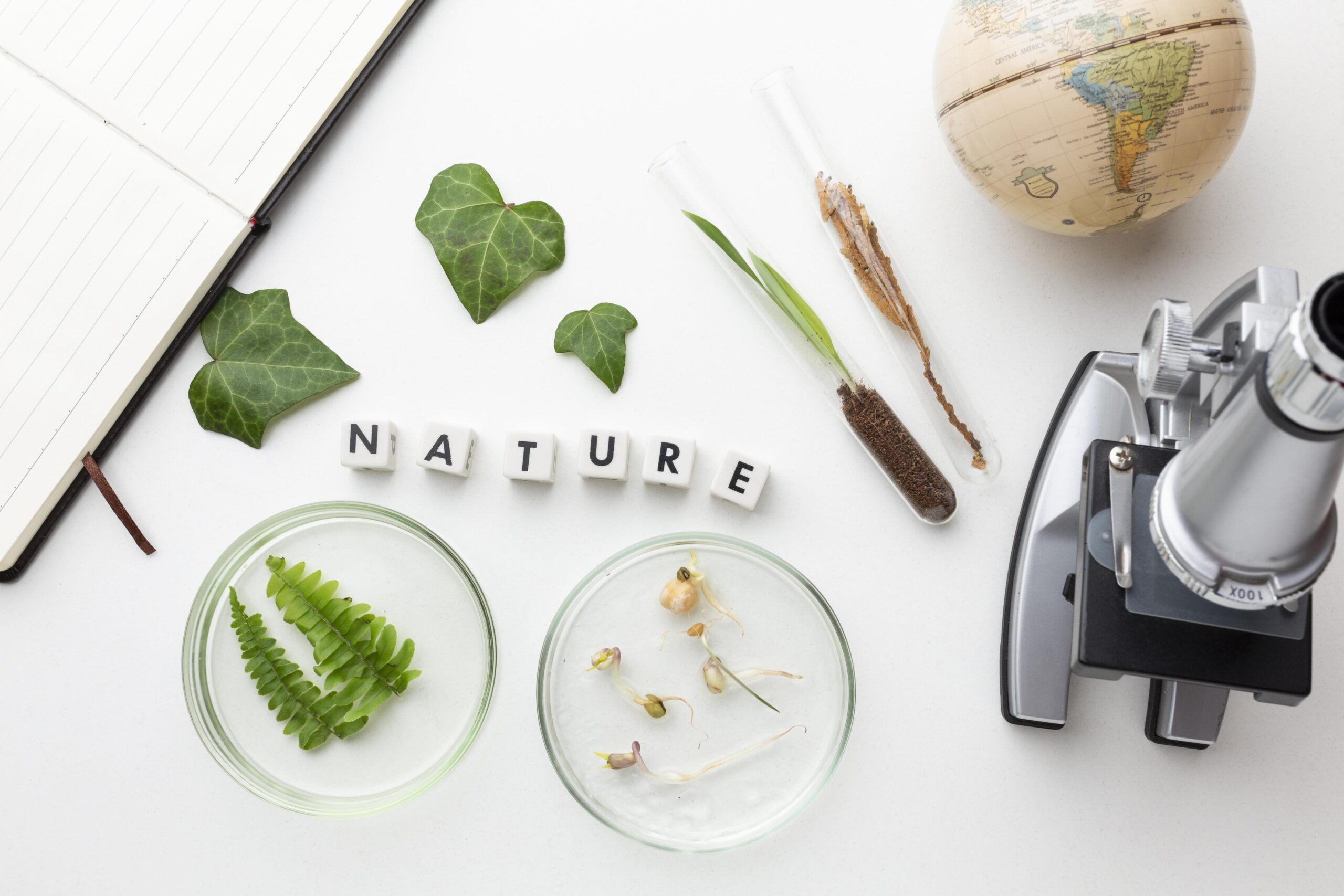 Impact environnemental des arômes naturels
