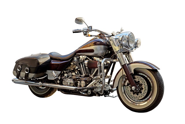 sacoches moto